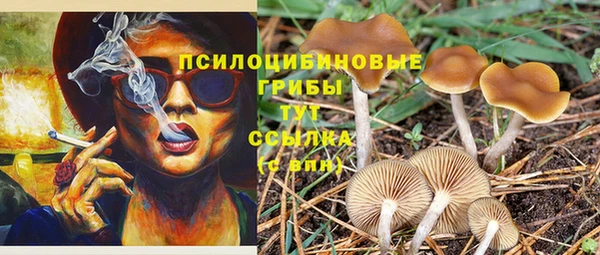 гидропоника Приозерск