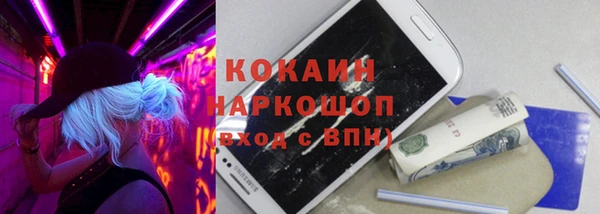 мдпв Протвино
